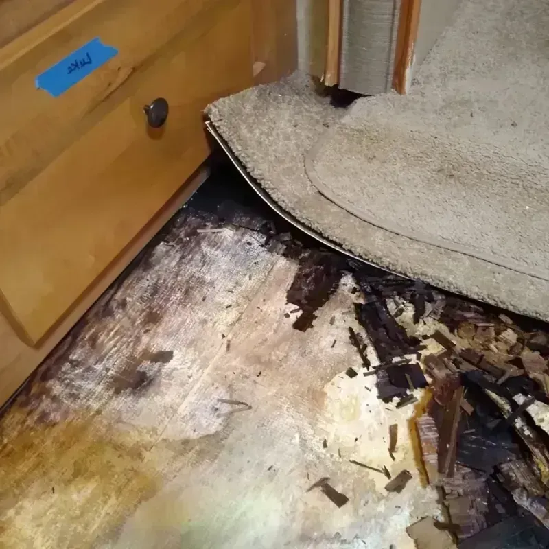 Wood Floor Water Damage in Flowood, MS